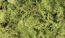 Woodland Scenics / Lichen - 1.5qts 1.4L / HO Scale