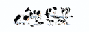 Woodland Scenics / Holstein Cows / O Scale
