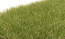Woodland Scenics / Static Grass - Field System / HO Scale