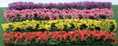 JTT Scenery / Flower Hedges - 5 x 3/8 x 5/8" 12.7 x 1 x 1.6cm pkg(8)