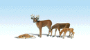 Woodland Scenics / Buck & Family / G Scale