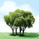 JTT Scenery / Pro-Elite Series Tree