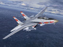 Grumman F-14A Tomcat