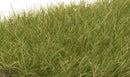 Woodland Scenics / Static Grass - Field System