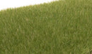 Woodland Scenics / Static Grass - Field System - 1/8" 4mm Fibers / HO Scale