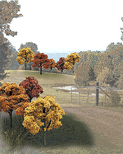 Woodland Scenics / Fall Colors Deciduous Tree Pack - Ready Made Trees(TM) / HO Scale