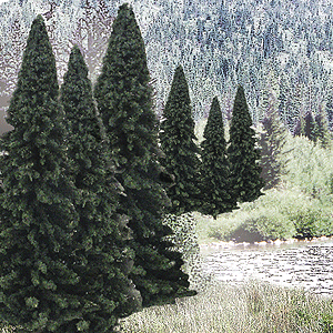 Woodland Scenics / Evergreen Tree Value Pack - Ready Made Trees(TM)