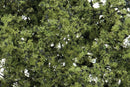 Woodland Scenics / Shrubs & Saplings
