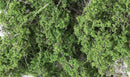 Woodland Scenics / Fine Leaf Foliage(TM) - 75 Cu. In. 1.2 Cu. m.