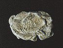 Woodland Scenics / Rock Molds - 5 x 7" 12.7 x 17.7cm