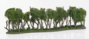 Woodland Scenics / Hedge Row - Woodland Classics(TM) Ready Made Trees(TM)