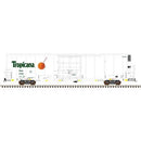 Atlas | TrinityRail(R) 64' Modern Reefer Tropicana