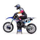 Losi / 1/4 Promoto-MX Motorcycle RTR, Club MX BLUE