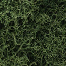 Woodland Scenics / Lichen - 1.5qts 1.4L